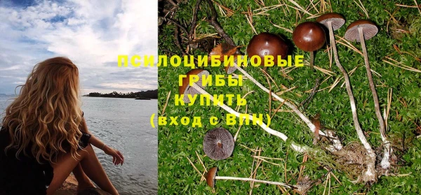 дмт Абинск