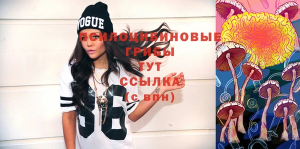 дмт Абинск