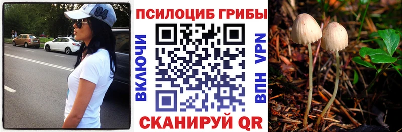 blacksprut зеркало Владикавказ Псилоцибиновые грибы MAGIC MUSHROOMS